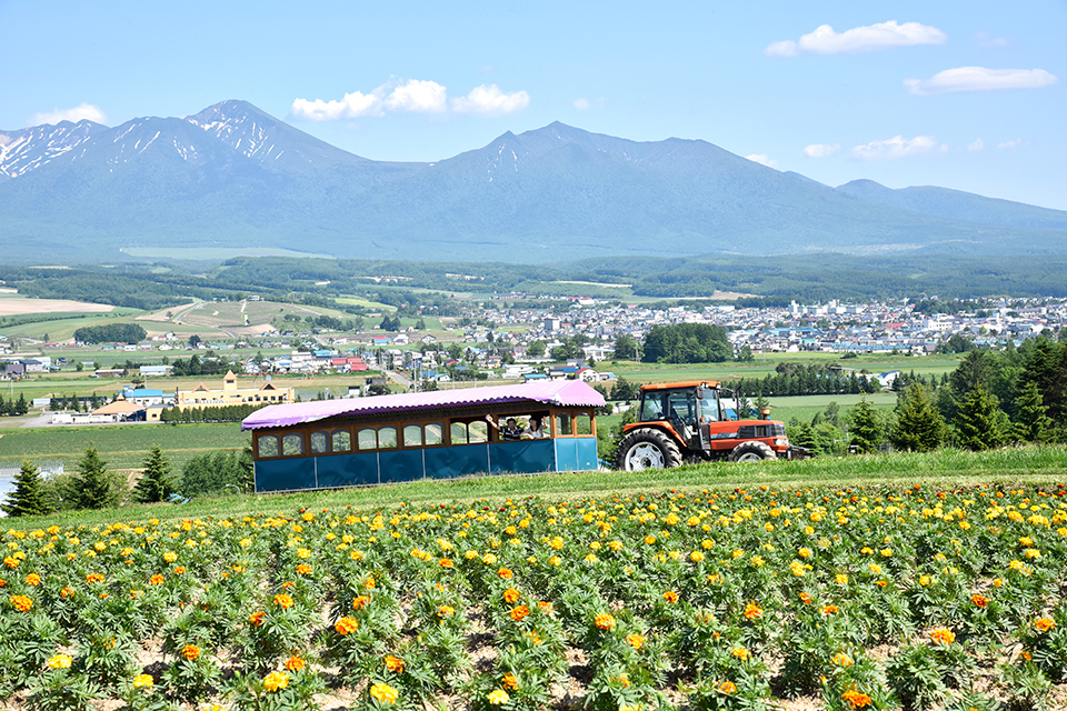 furano-16