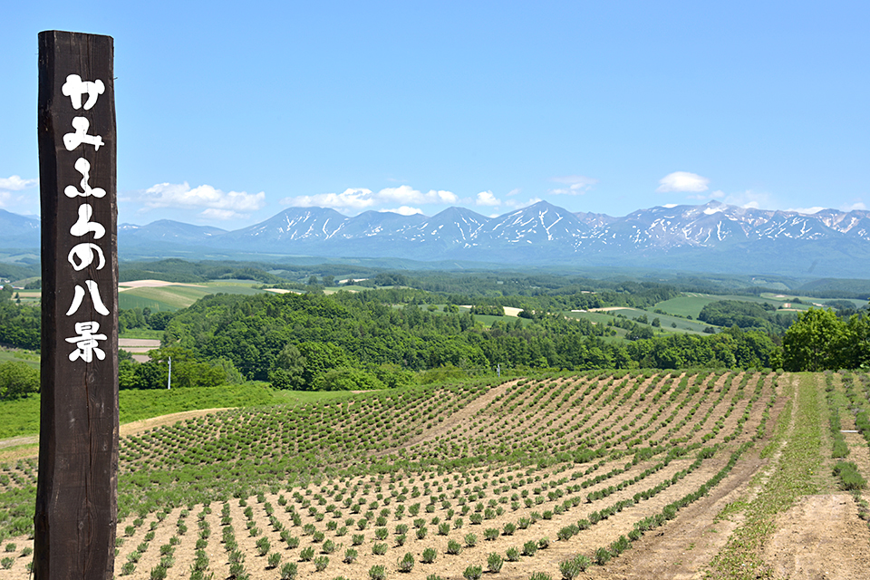 furano-8