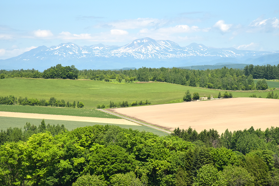 furano-9